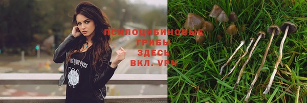 мет Зеленокумск