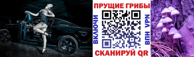KRAKEN как зайти  Истра  Псилоцибиновые грибы Psilocybine cubensis  наркотики 